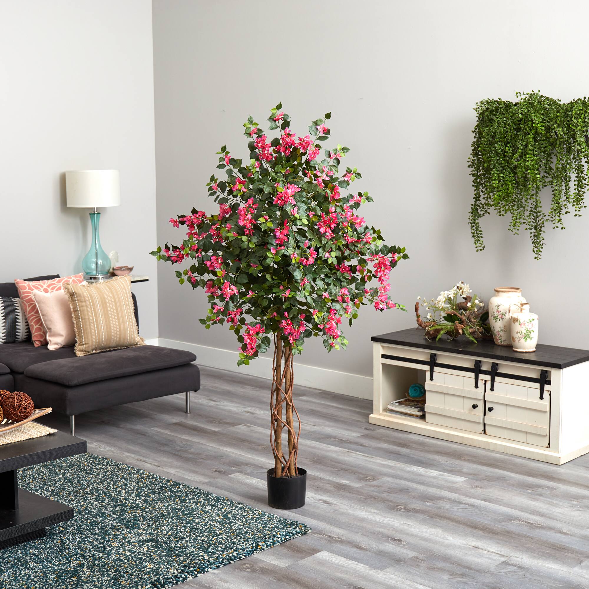 5.5ft. Potted Bougainvillea Tree